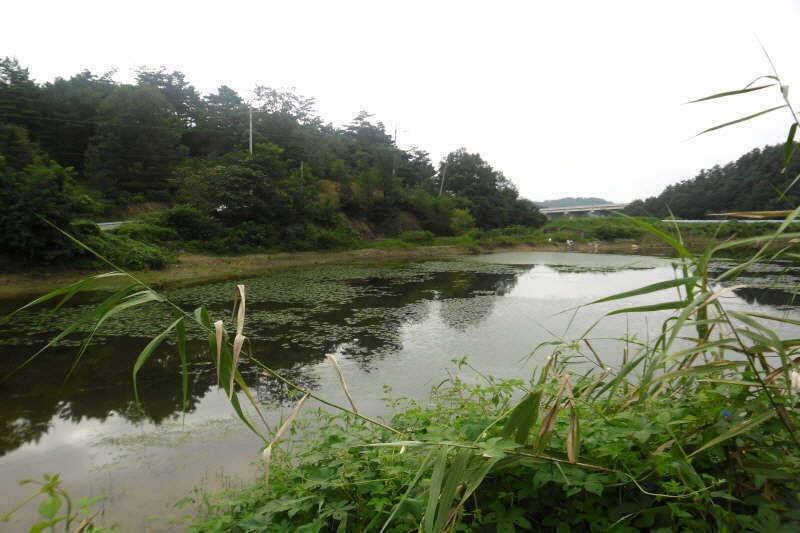 악조건의낚시 (조황조행기 - 특파원조황)