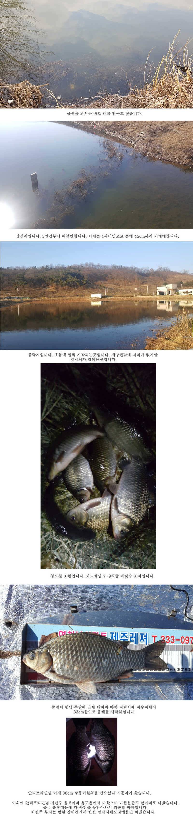 청도권 물낚시 조황입니다 (조황조행기 - 특파원조황)