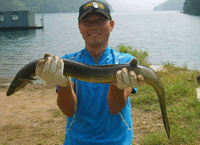 추석 선물로 1kg급 장어를 만나다 (조황조행기 - 특파원조황)