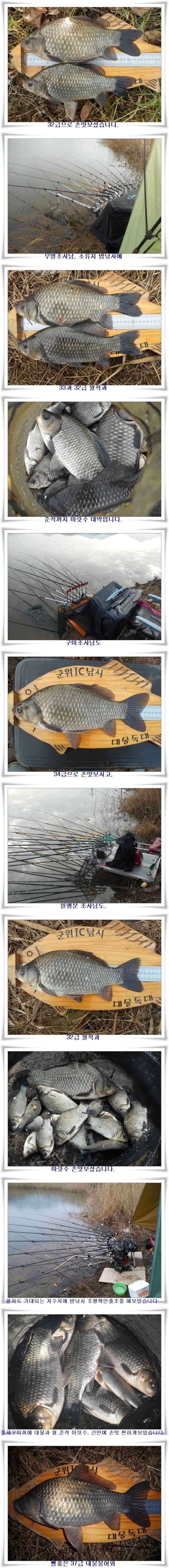 막바지 대물조황 (조황조행기 - 특파원조황)