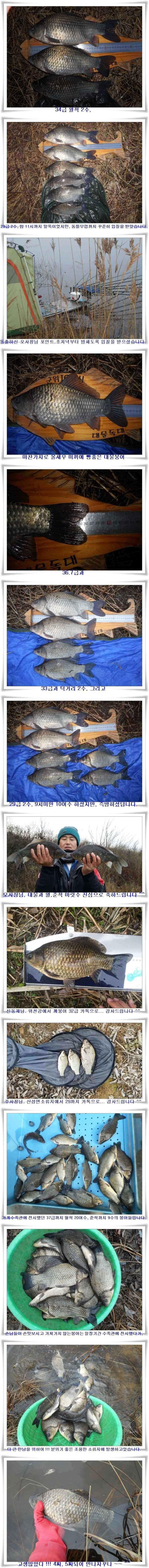 막바지 대물조황 (조황조행기 - 특파원조황)