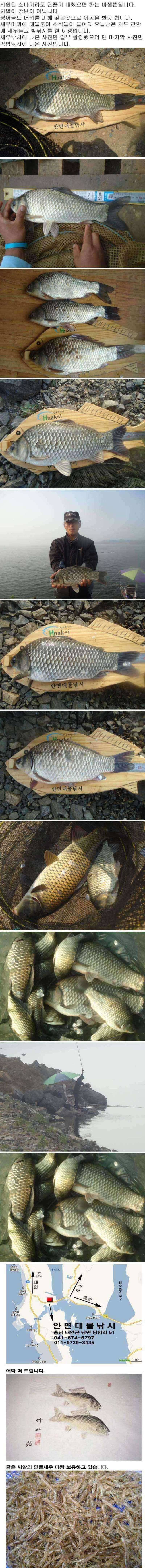 부남호 주말조황 안내 (조황조행기 - 특파원조황)