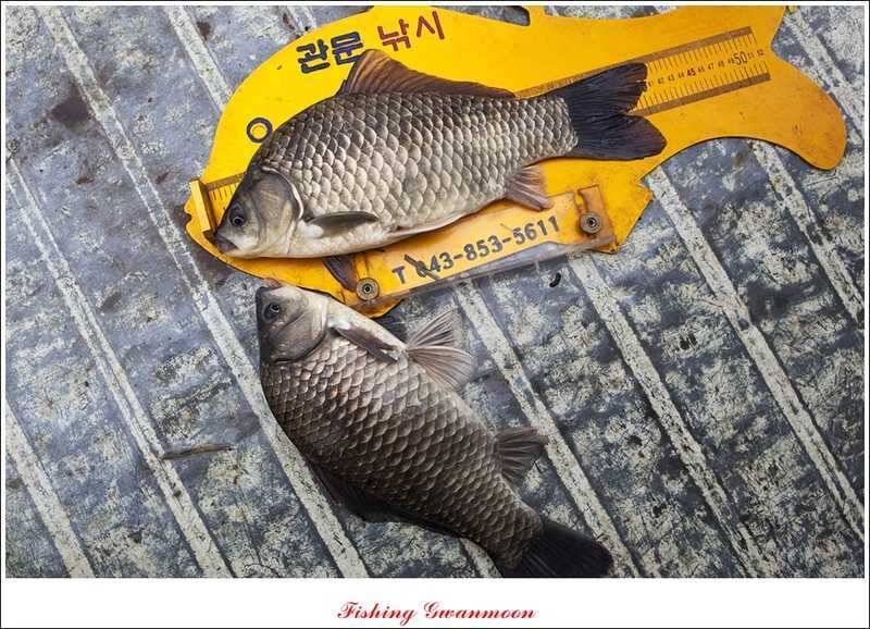 함지매전지칠성지 조황 (조황조행기 - 특파원조황)