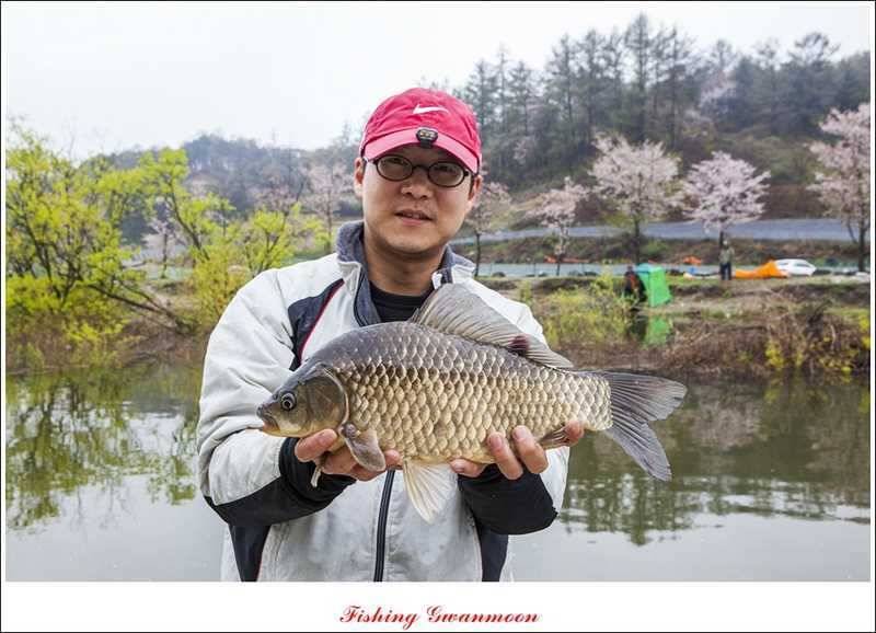 함지매전지칠성지 조황 (조황조행기 - 특파원조황)