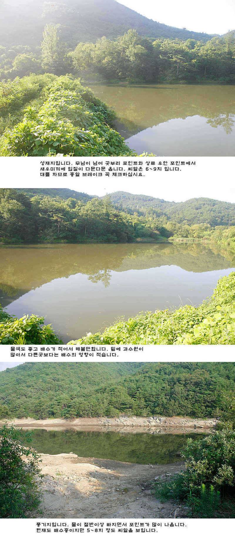 주중 청도권 조황정보 (조황조행기 - 특파원조황)