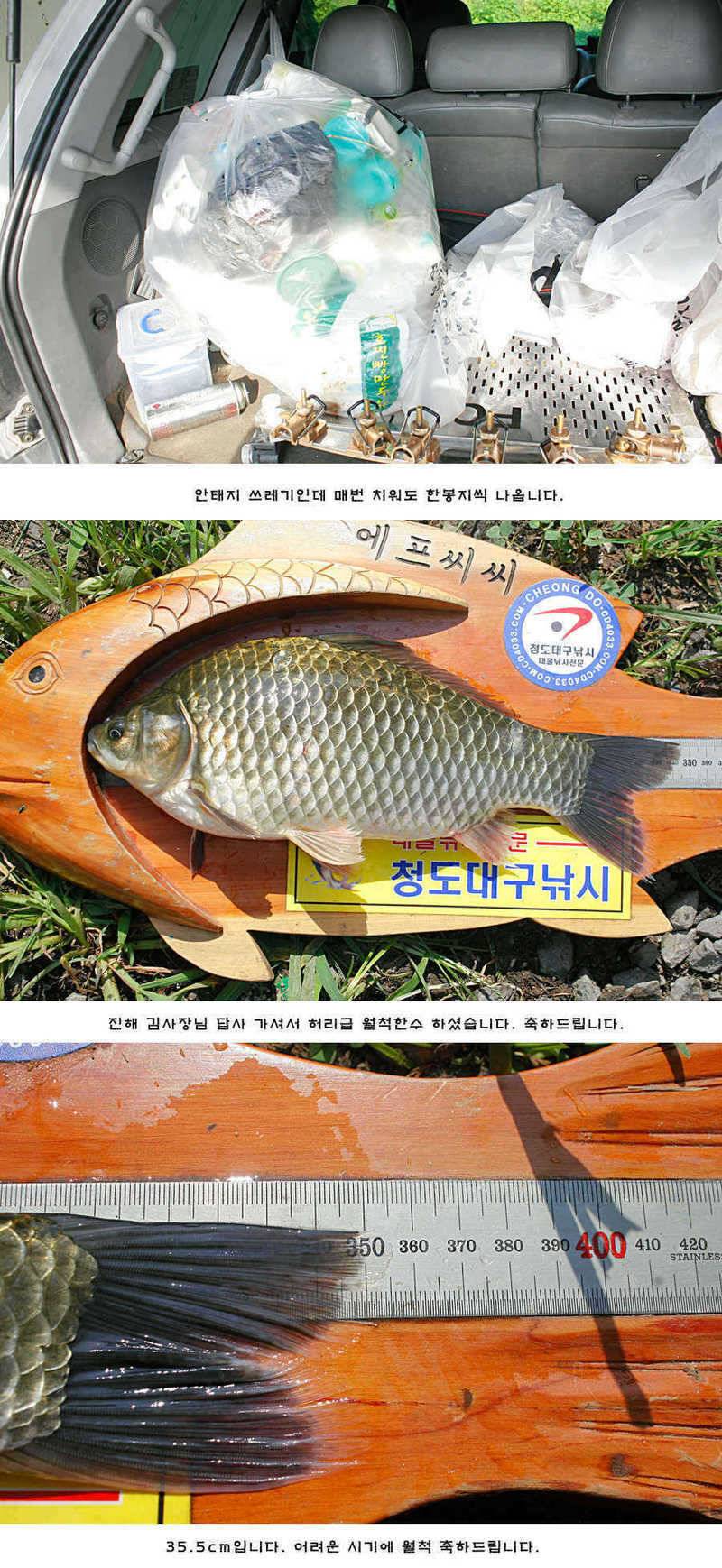 주중 청도권 조황정보 (조황조행기 - 특파원조황)