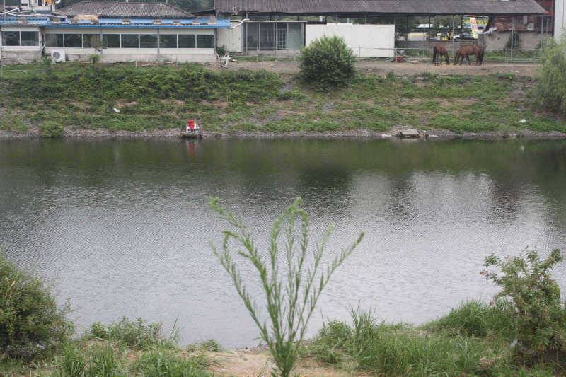휴가낚시 이곳으로 (조황조행기 - 특파원조황)