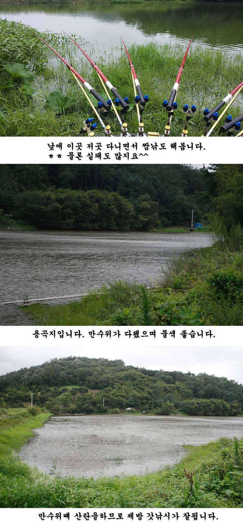 청도권 주말 조황입니다 (조황조행기 - 특파원조황)