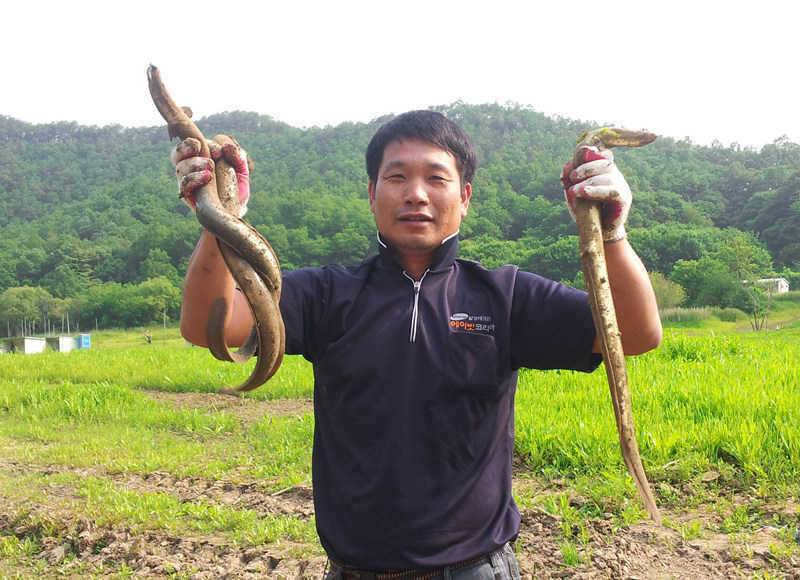 충주호 본격적인 대물장어 시즌입니다 (조황조행기 - 특파원조황)