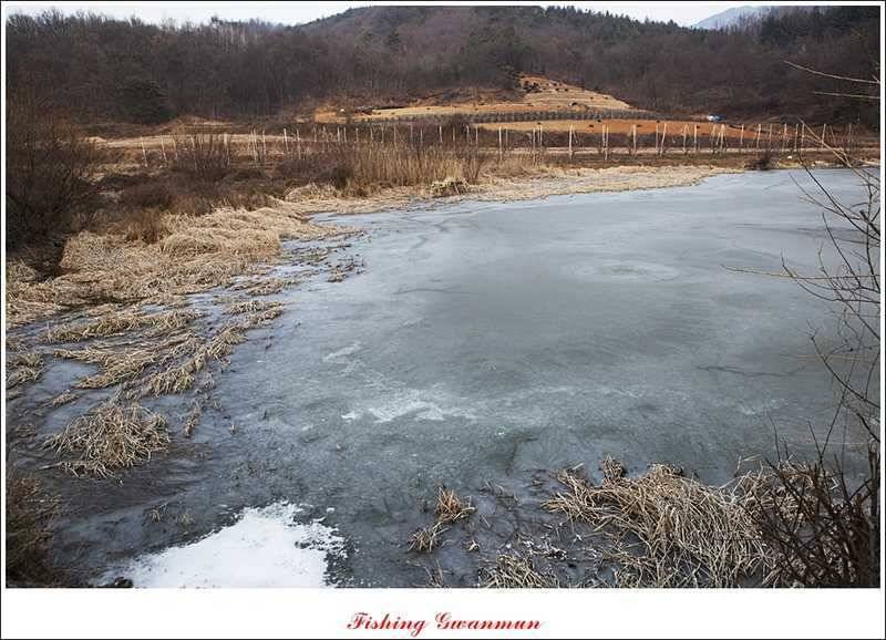 충주괴산권 결빙 상태와 빙어 낚시 (조황조행기 - 특파원조황)