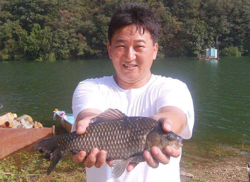 목벌낚시터의 월척과 향어모습 (조황조행기 - 특파원조황)