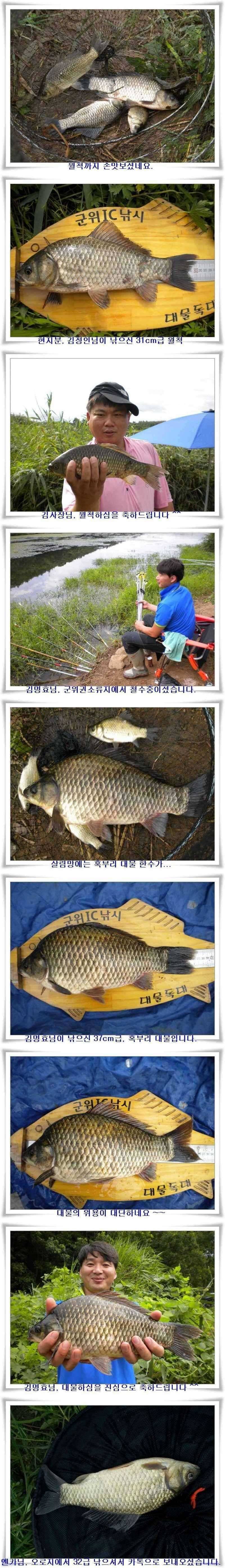 혹부리대물과 월척 (조황조행기 - 특파원조황)