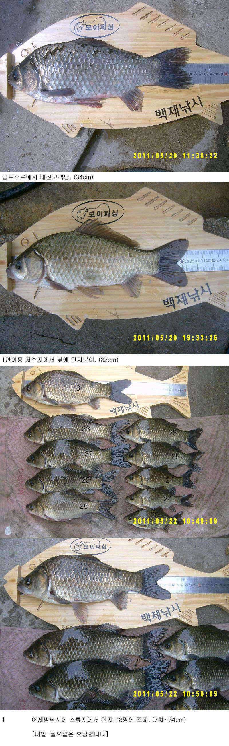 조과사진 (조황조행기 - 특파원조황)