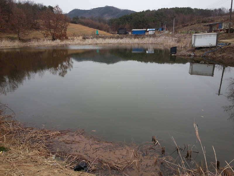 경산권 주중 조황정보 (조황조행기 - 특파원조황)