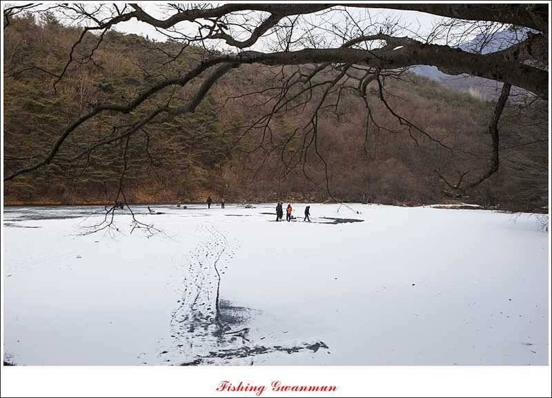 충주괴산권 결빙 상태와 빙어 낚시 (조황조행기 - 특파원조황)
