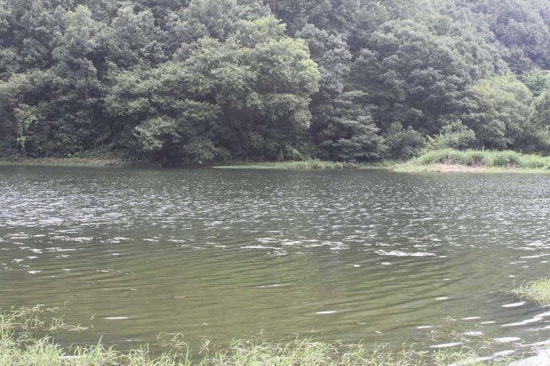 휴가낚시 이곳으로 (조황조행기 - 특파원조황)