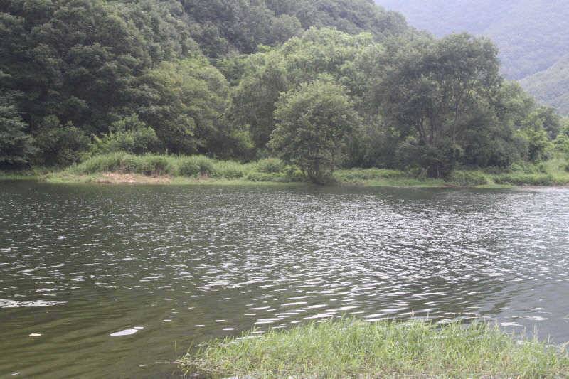 휴가낚시 이곳으로 (조황조행기 - 특파원조황)