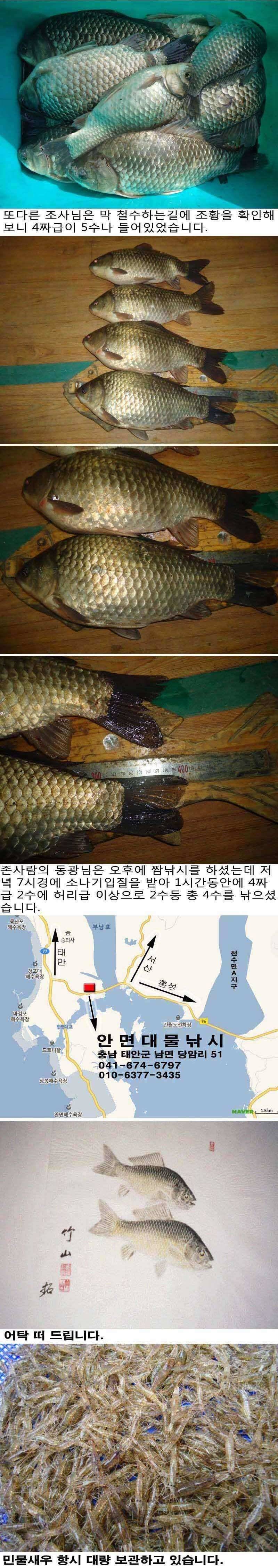 422 부남호 5짜급 대물붕어를 목표로 상향 수정 (조황조행기 - 특파원조황)
