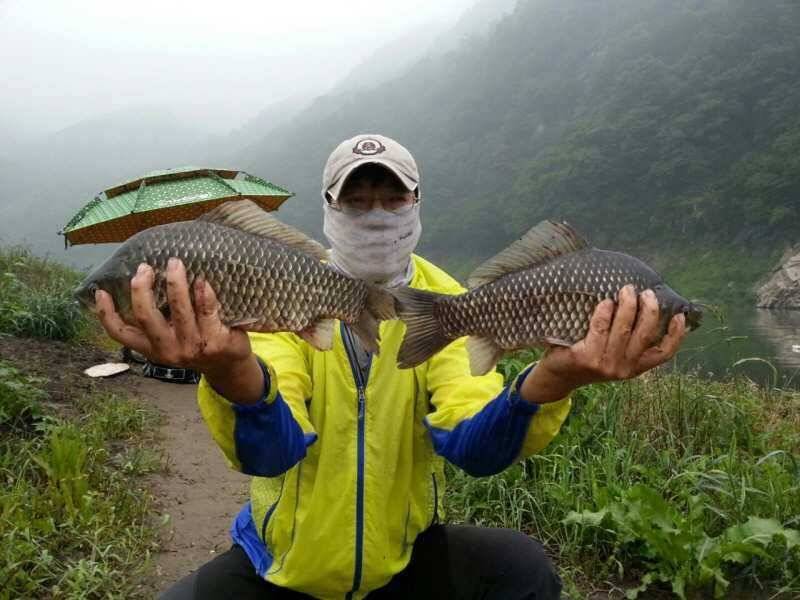 충주호 노지 조황정보 (조황조행기 - 특파원조황)