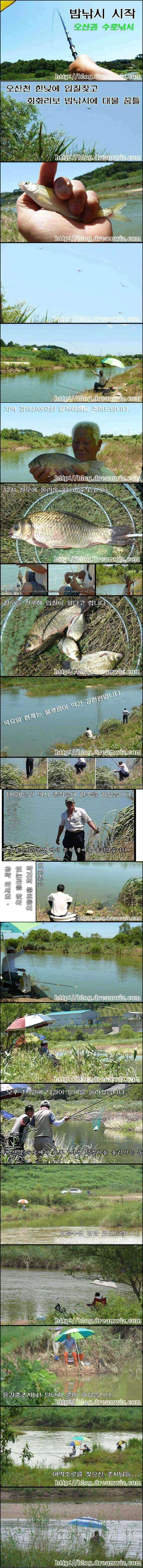 진위천 회화리보 밤낚시에 오산천은 정오에 월척 (조황조행기 - 특파원조황)