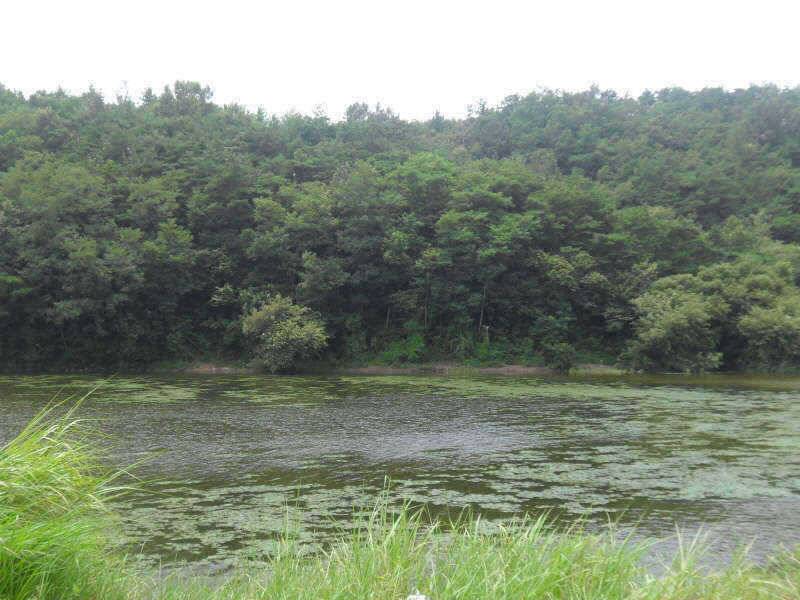 체고는 4짜 입니다 (조황조행기 - 특파원조황)