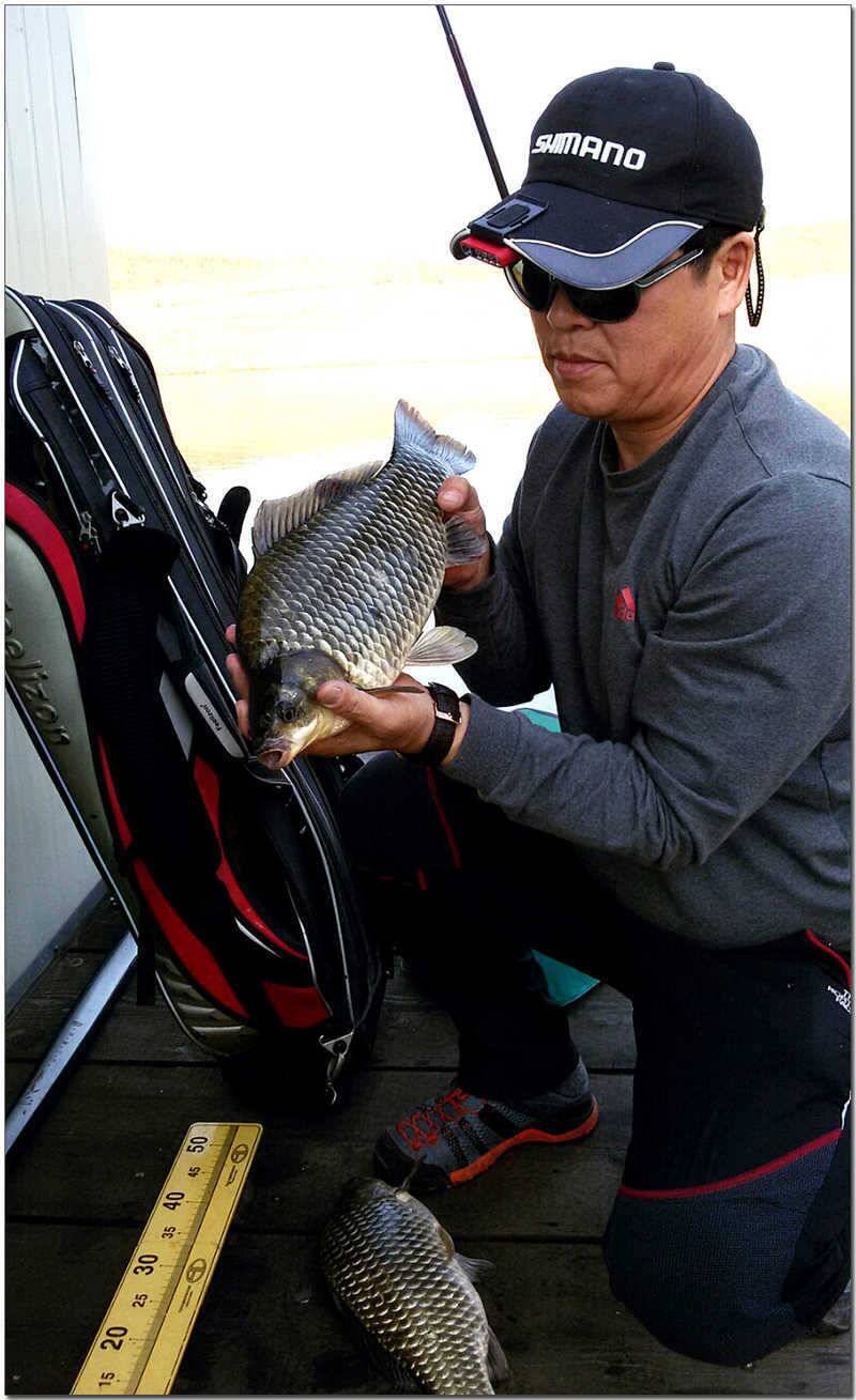 한버들 사짜달천강 월척 (조황조행기 - 특파원조황)