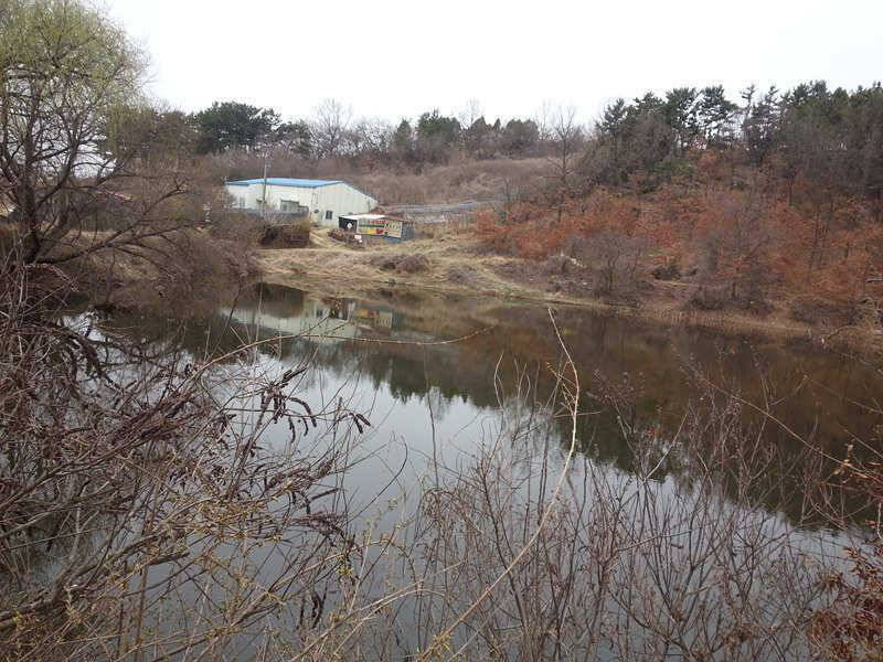 경산권 주중 조황정보 (조황조행기 - 특파원조황)