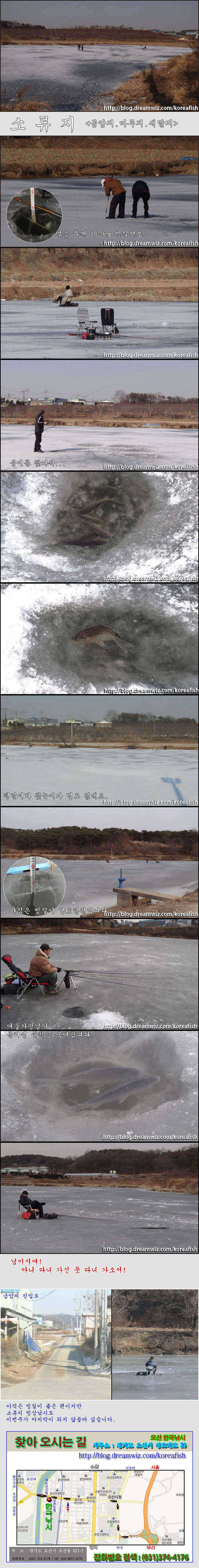 오산권 소류지 빙어와 붕어 (조황조행기 - 특파원조황)