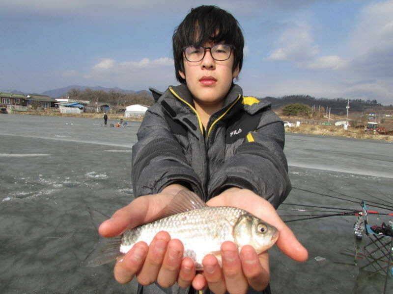 빙어 붕어낚시 시작 (조황조행기 - 특파원조황)