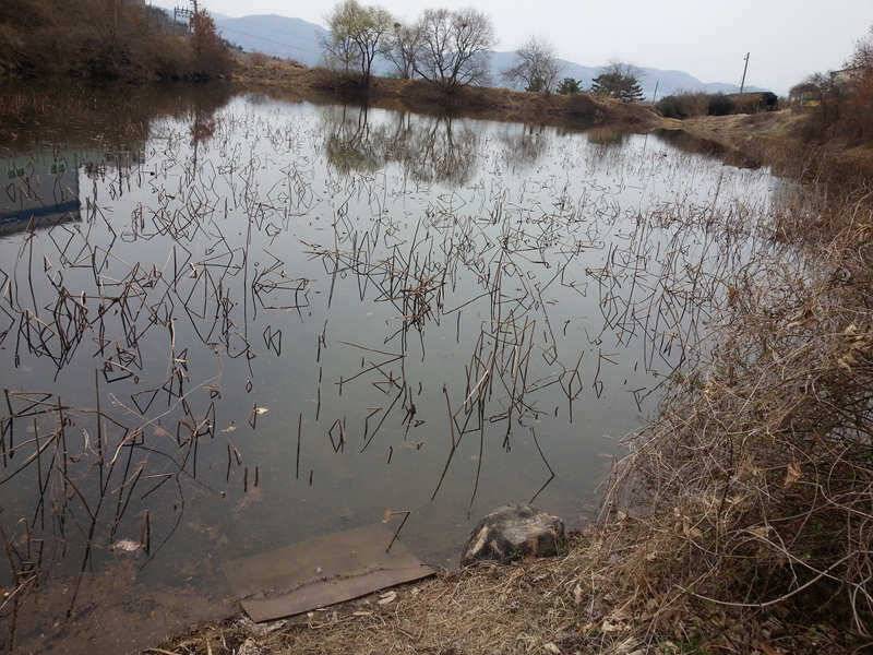 경산권 주중 조황정보 (조황조행기 - 특파원조황)