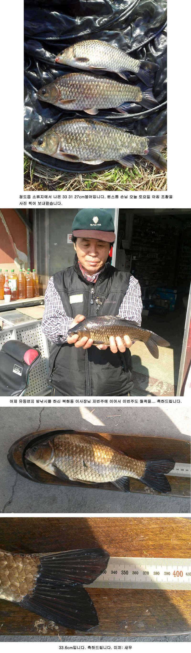 청도권 주중 조황정보 (조황조행기 - 특파원조황)