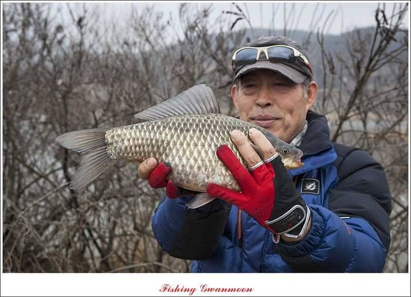 충주괴산권 조황 소식 (조황조행기 - 특파원조황)