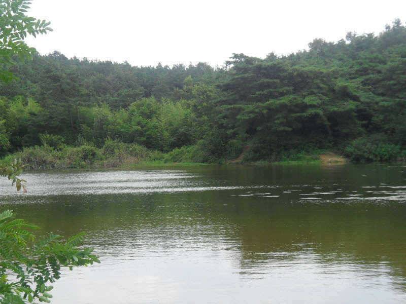 체고는 4짜 입니다 (조황조행기 - 특파원조황)