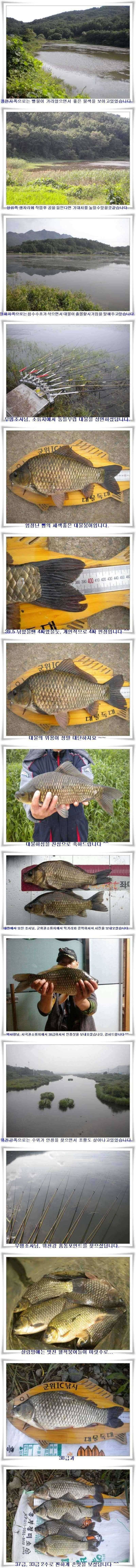 4짜출몰과 위천강 호조황 (조황조행기 - 특파원조황)