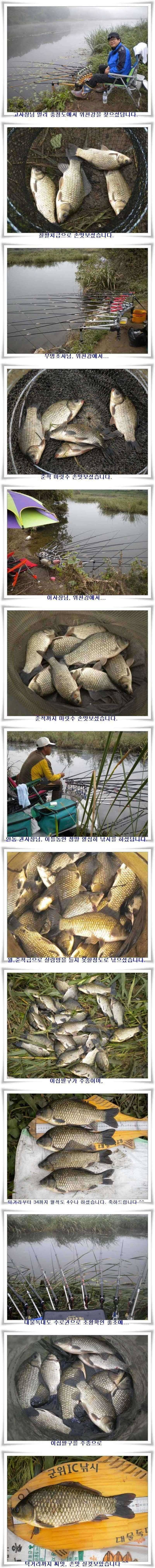 4짜출몰과 위천강 호조황 (조황조행기 - 특파원조황)