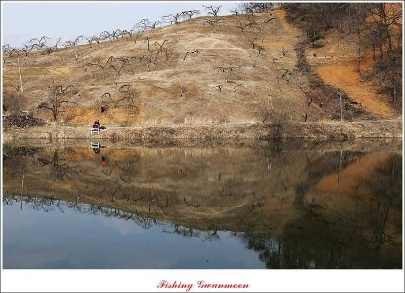 충주괴산권 조황 소식 (조황조행기 - 특파원조황)