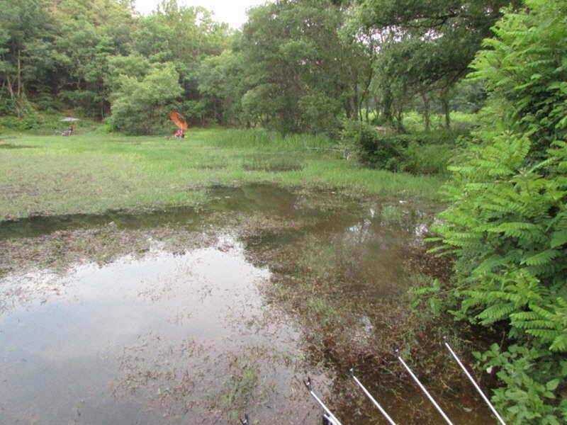 6월2째주 조황 입니다 (조황조행기 - 특파원조황)