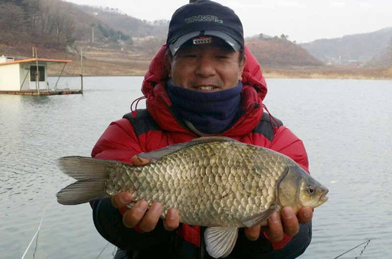 오늘도 42cm 40cm 하천리의 4짜 대물붕어 행진은 언제까지 (조황조행기 - 특파원조황)