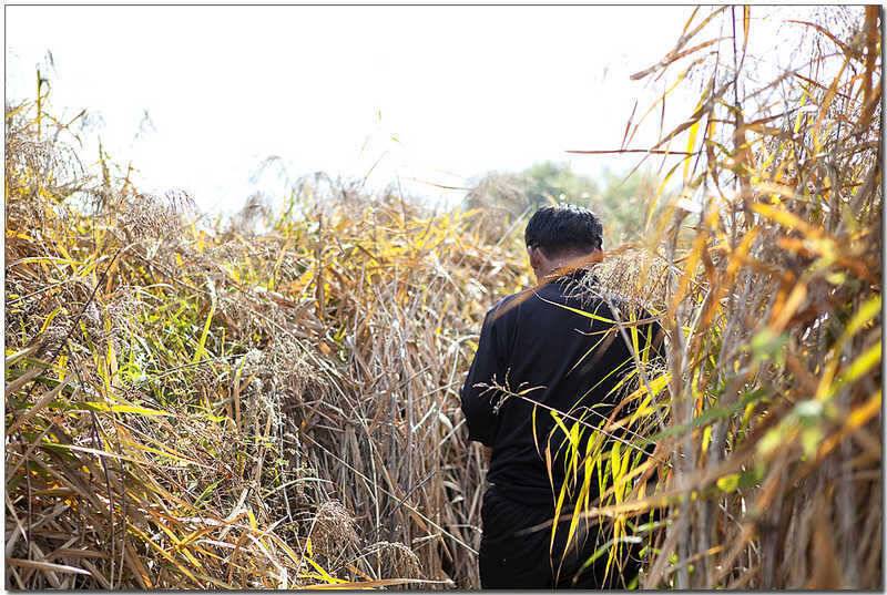 한버들 사짜달천강 월척 (조황조행기 - 특파원조황)
