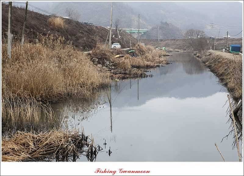 충주괴산권 조황 소식 (조황조행기 - 특파원조황)