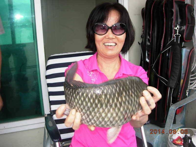충주호병호4짜대물과 신매조황 (조황조행기 - 특파원조황)