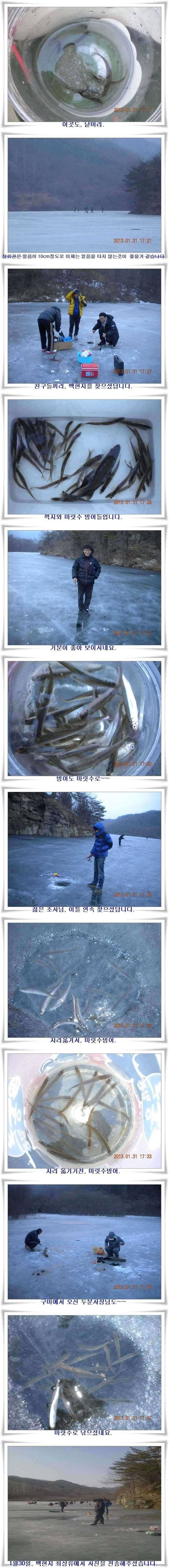 빙질좋은 내의지와 군위빙어낚시 조황 (조황조행기 - 특파원조황)