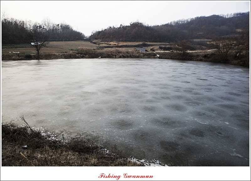 충주괴산권 결빙 상태와 빙어 낚시 (조황조행기 - 특파원조황)