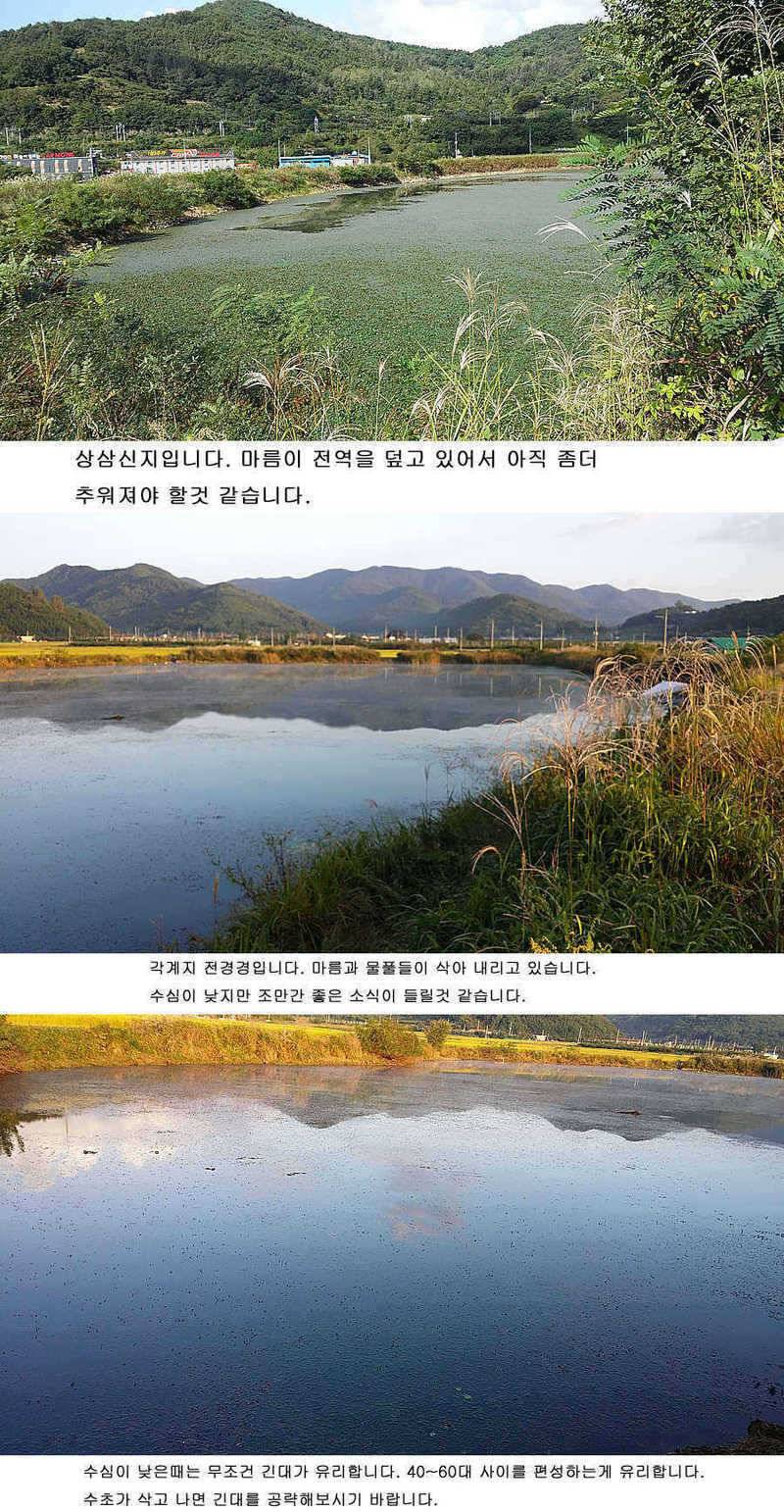 청도권 마릿수조황4042545455대박 (조황조행기 - 특파원조황)