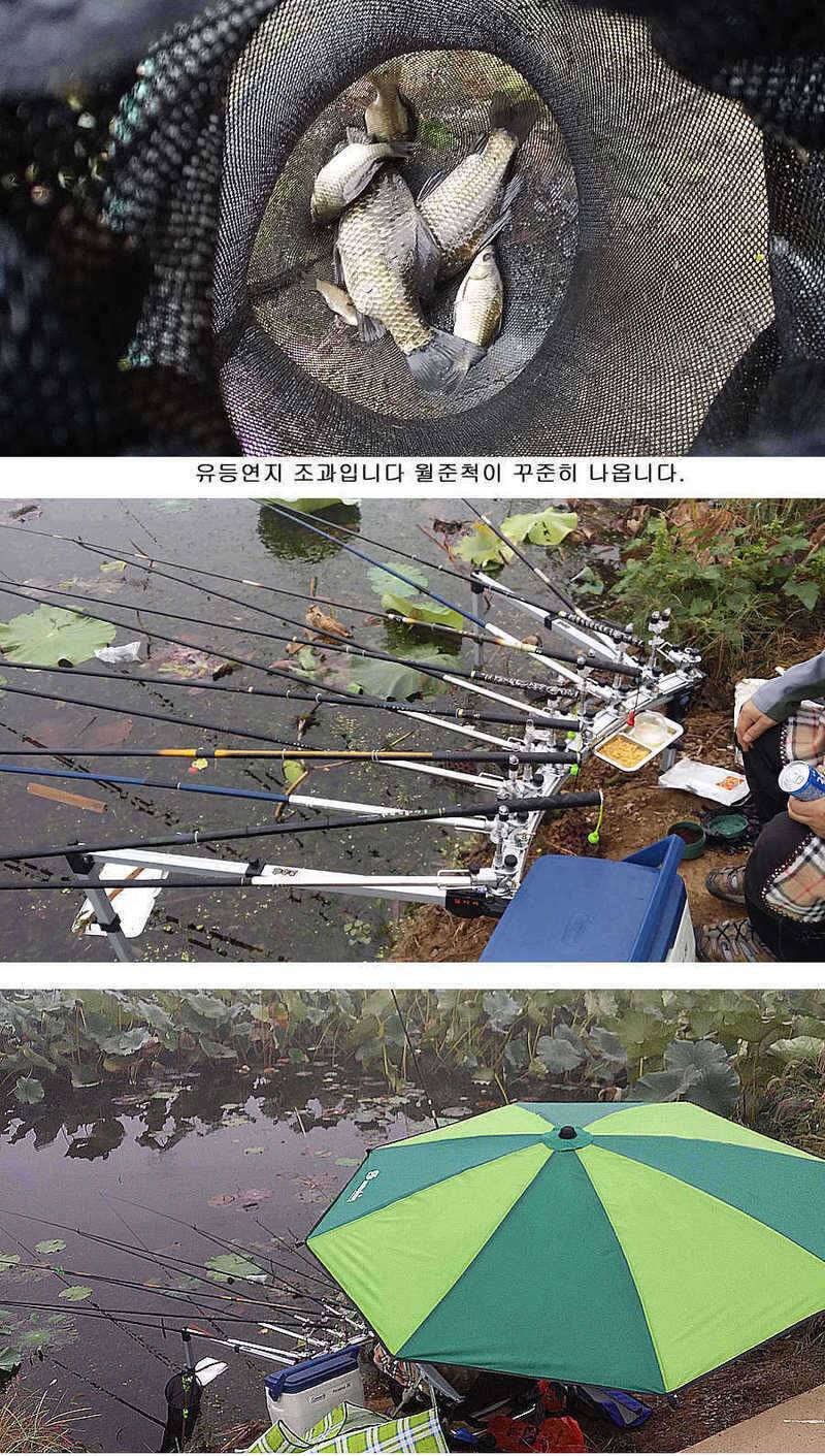 청도권 마릿수조황4042545455대박 (조황조행기 - 특파원조황)