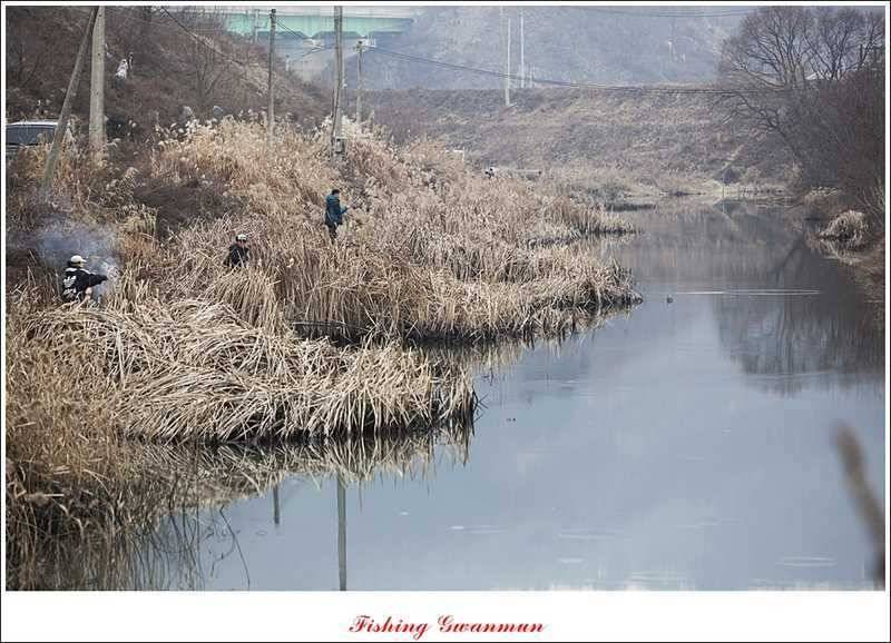 충주괴산권 결빙 상태와 빙어 낚시 (조황조행기 - 특파원조황)