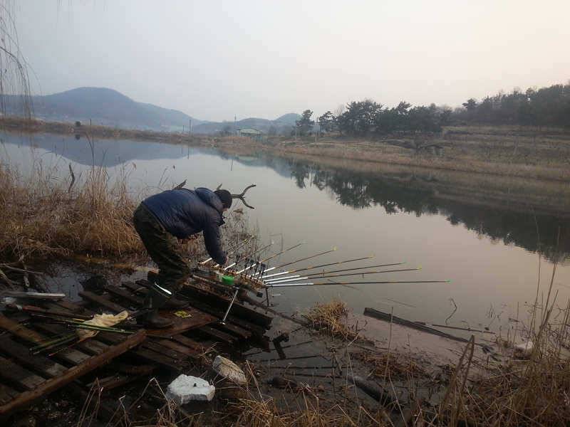 경산권 주중 조황정보 (조황조행기 - 특파원조황)
