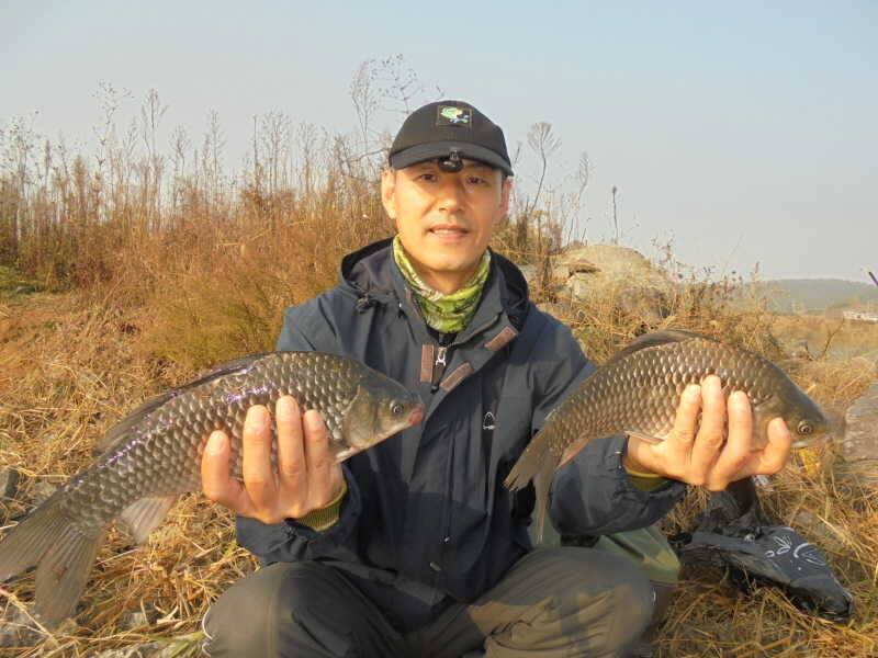 1023 부남호 허리급 이상 마릿수 대박 조황 (조황조행기 - 특파원조황)