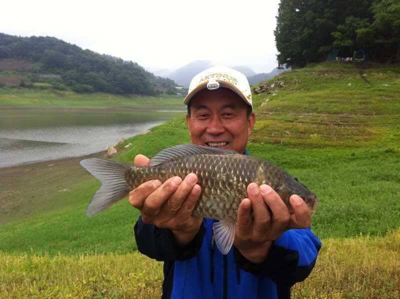 충주호 병호약35 37cm급 대물과 노지 (조황조행기 - 특파원조황)