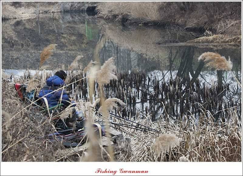 충주괴산권 결빙 상태와 빙어 낚시 (조황조행기 - 특파원조황)